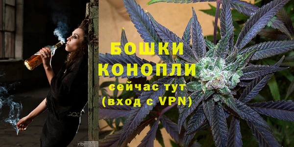 гидра Протвино